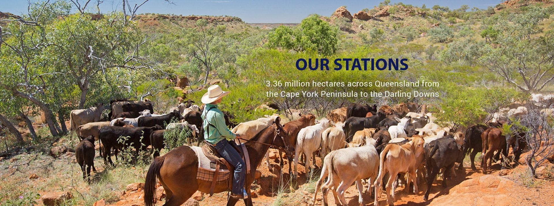 Jobs on cattle stations in qld